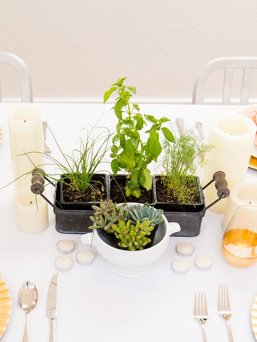 herb centerpiece for weeknight dinners