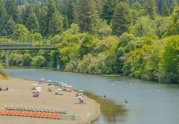 The beach at the Russian River