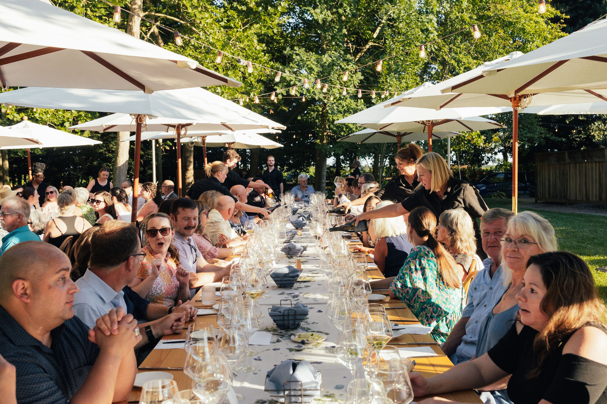 Picnic event at the La Crema estate