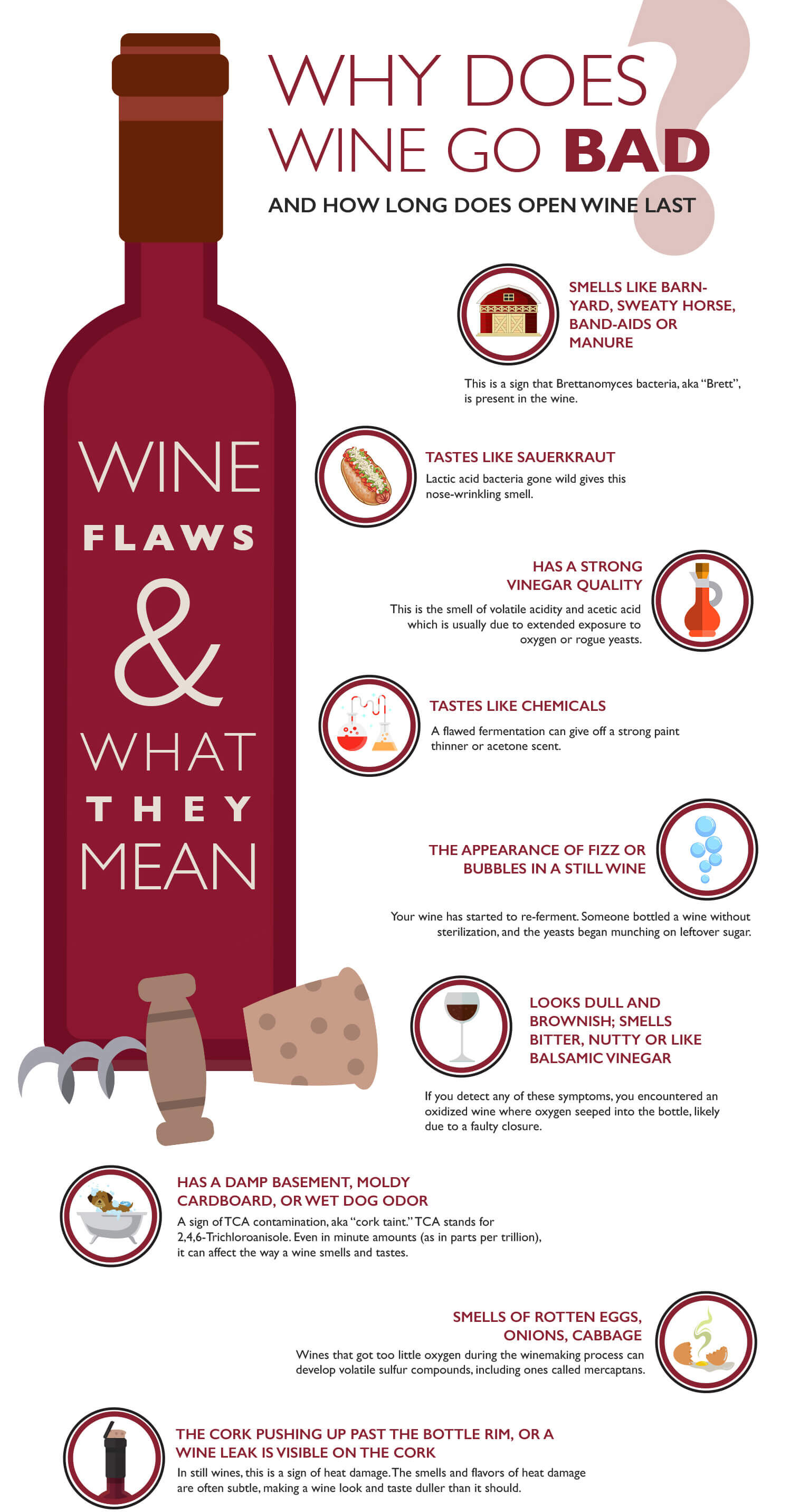 Wine flaws infographic