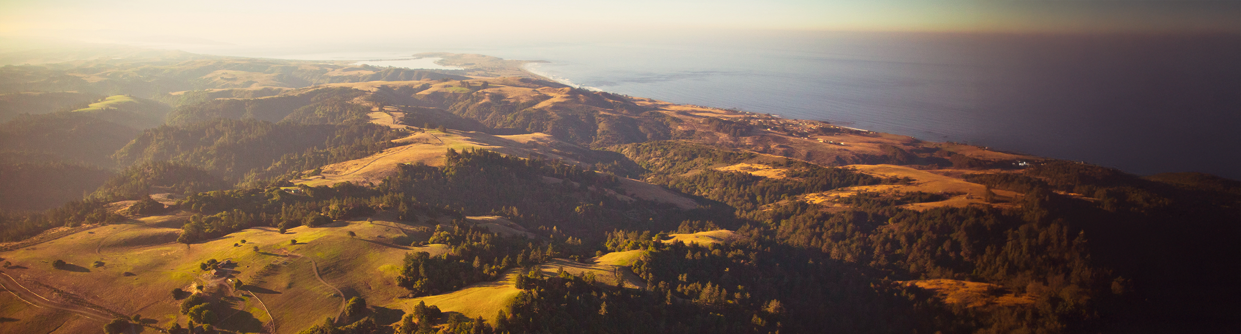 Sonoma Coast Vineyard landscape