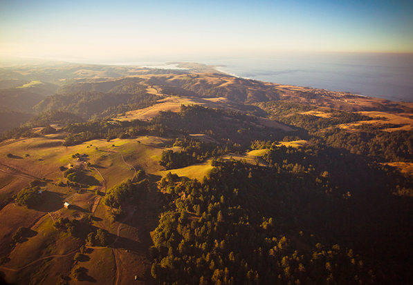 Sonoma Coast vineyards