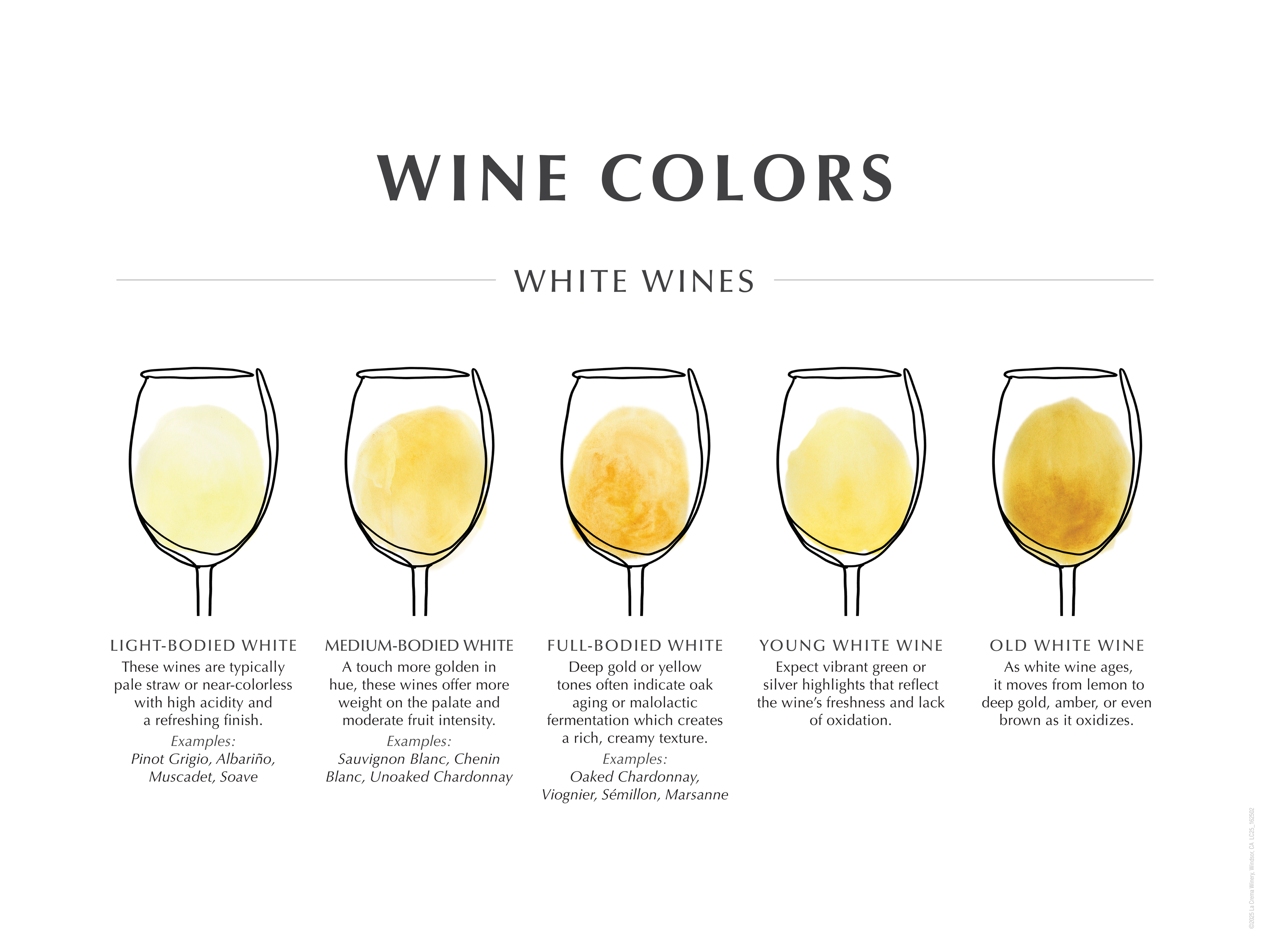 White Wine color Chart