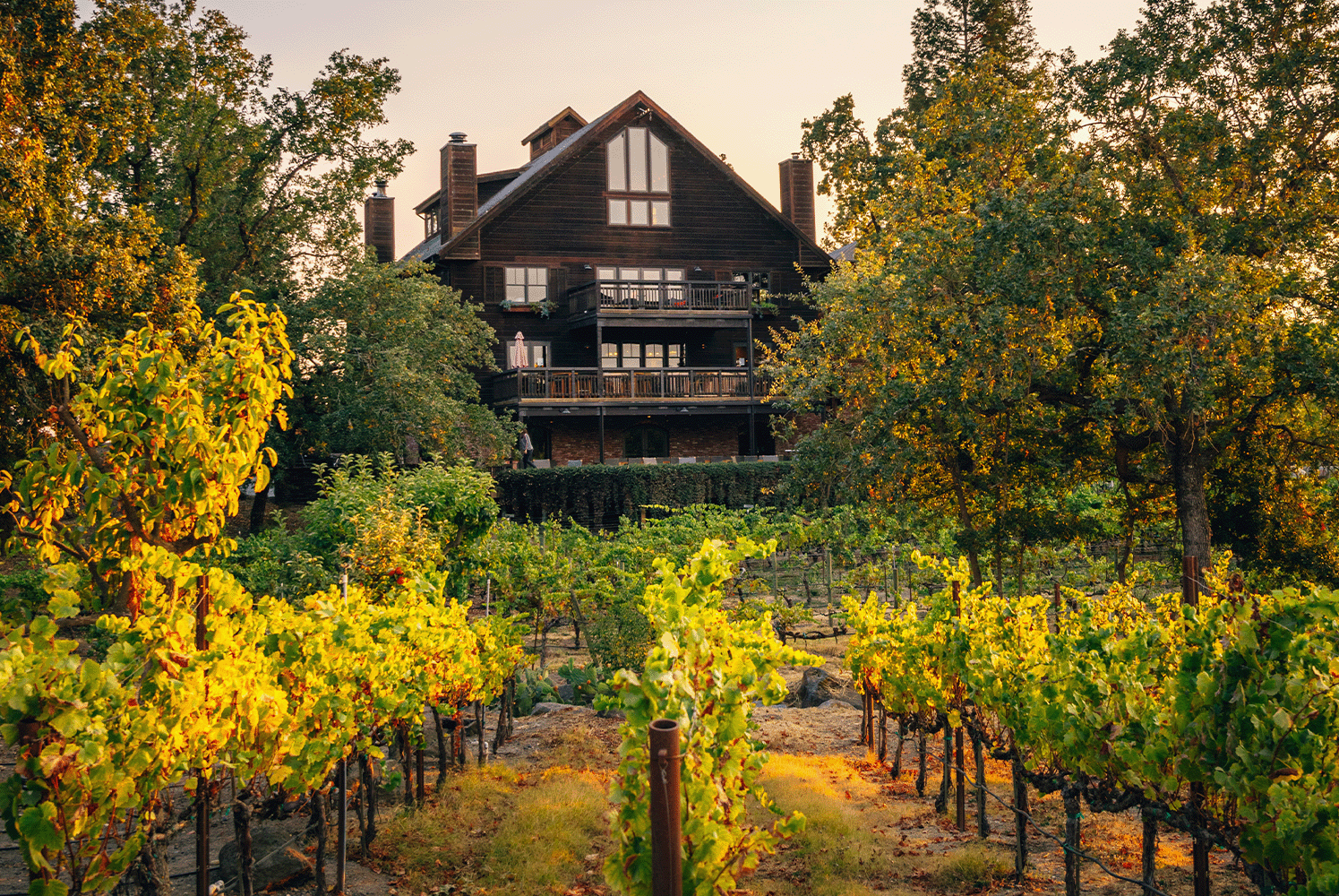 La Crema Estate vineyard in the Russian River Valley of Sonoma County offered wine tasting experiences daily