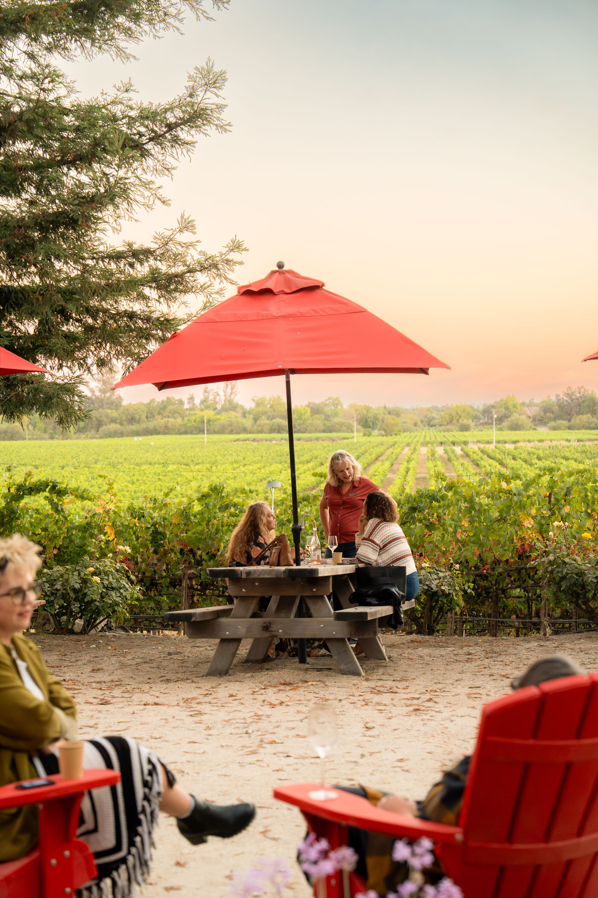 La Crema estate picnic tables