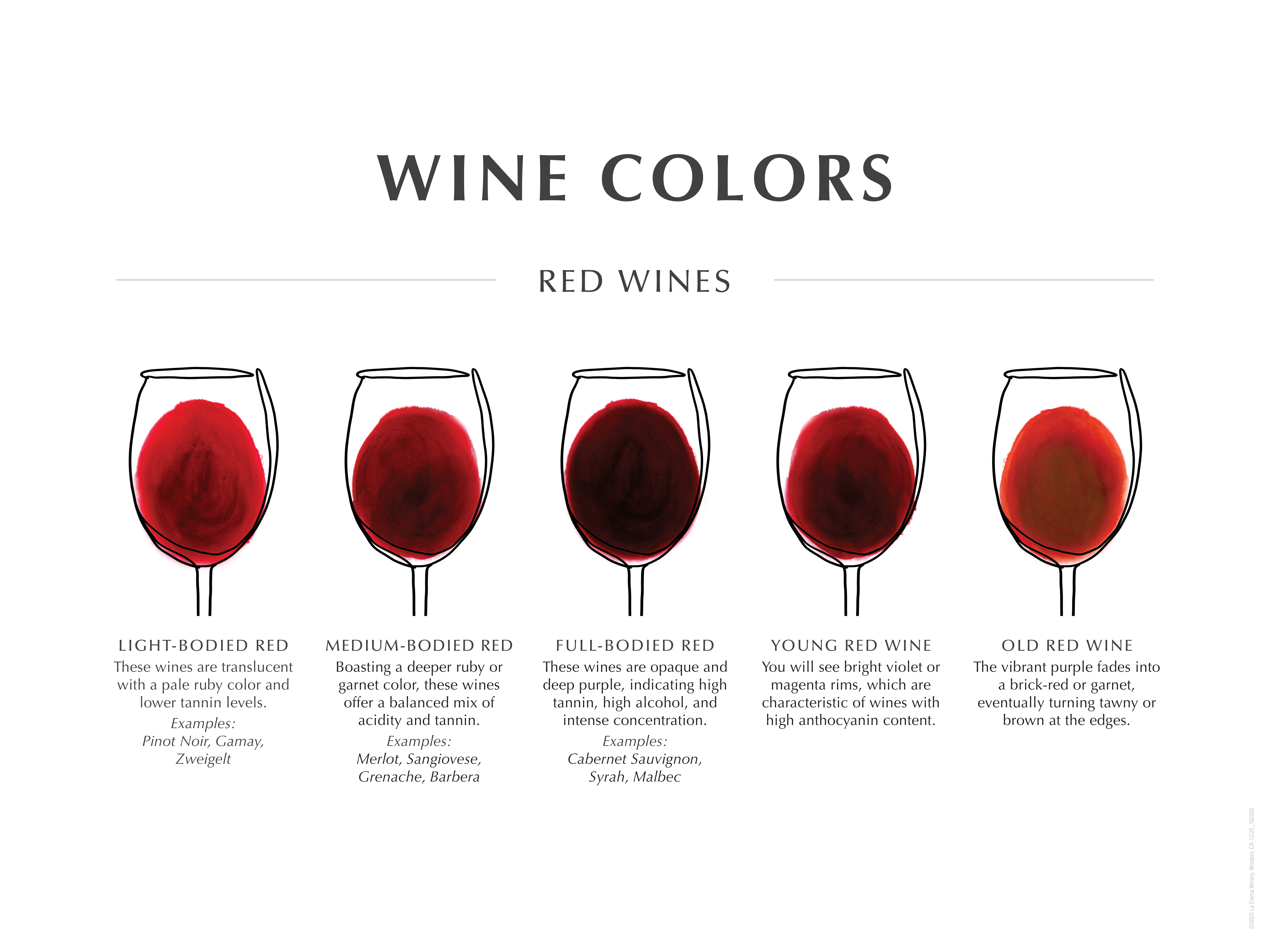 Red wine color chart