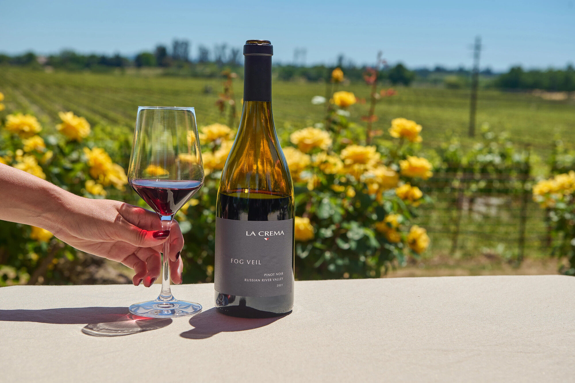 Fog Veil Vineyard Pinot Noir - Magnum