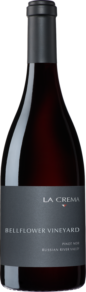 Bellflower Vineyard Pinot Noir