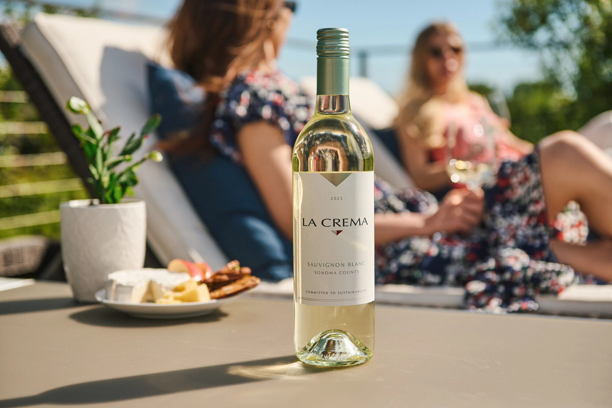 Sonoma County Sauvignon Blanc - Half Bottle
