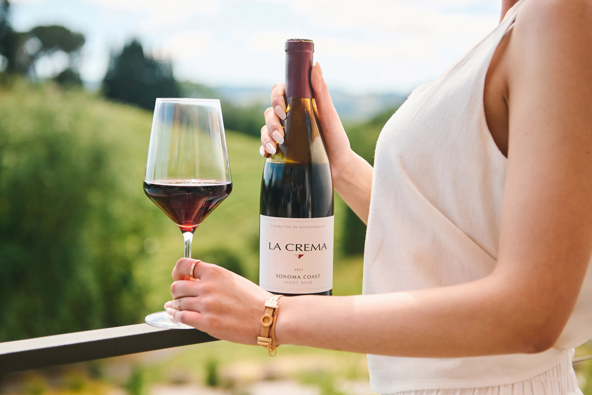 Sonoma Coast Pinot Noir - Double Magnum