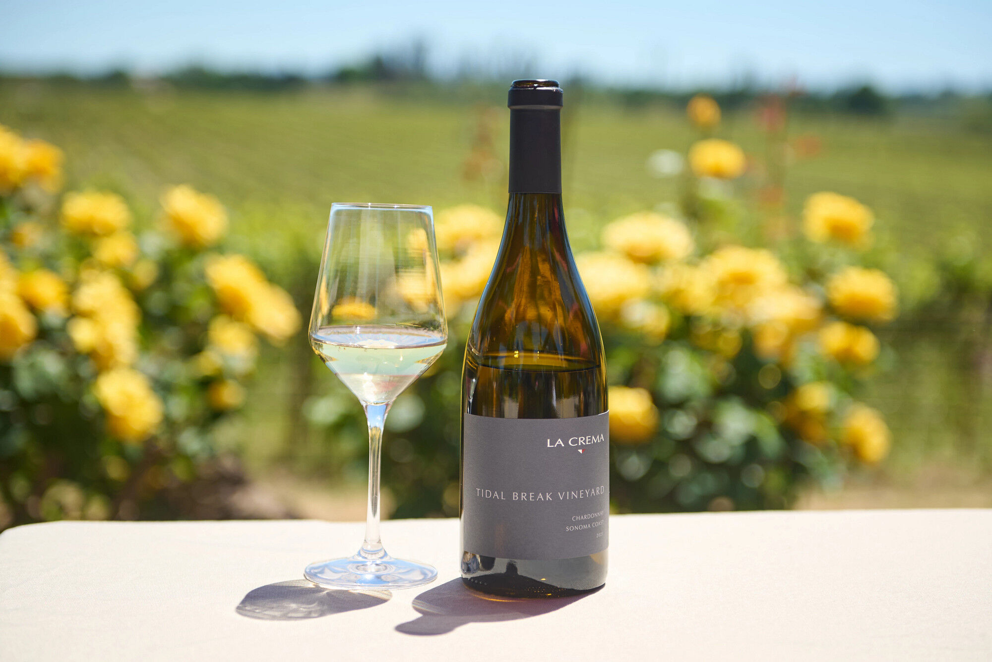 Tidal Break Vineyard Chardonnay