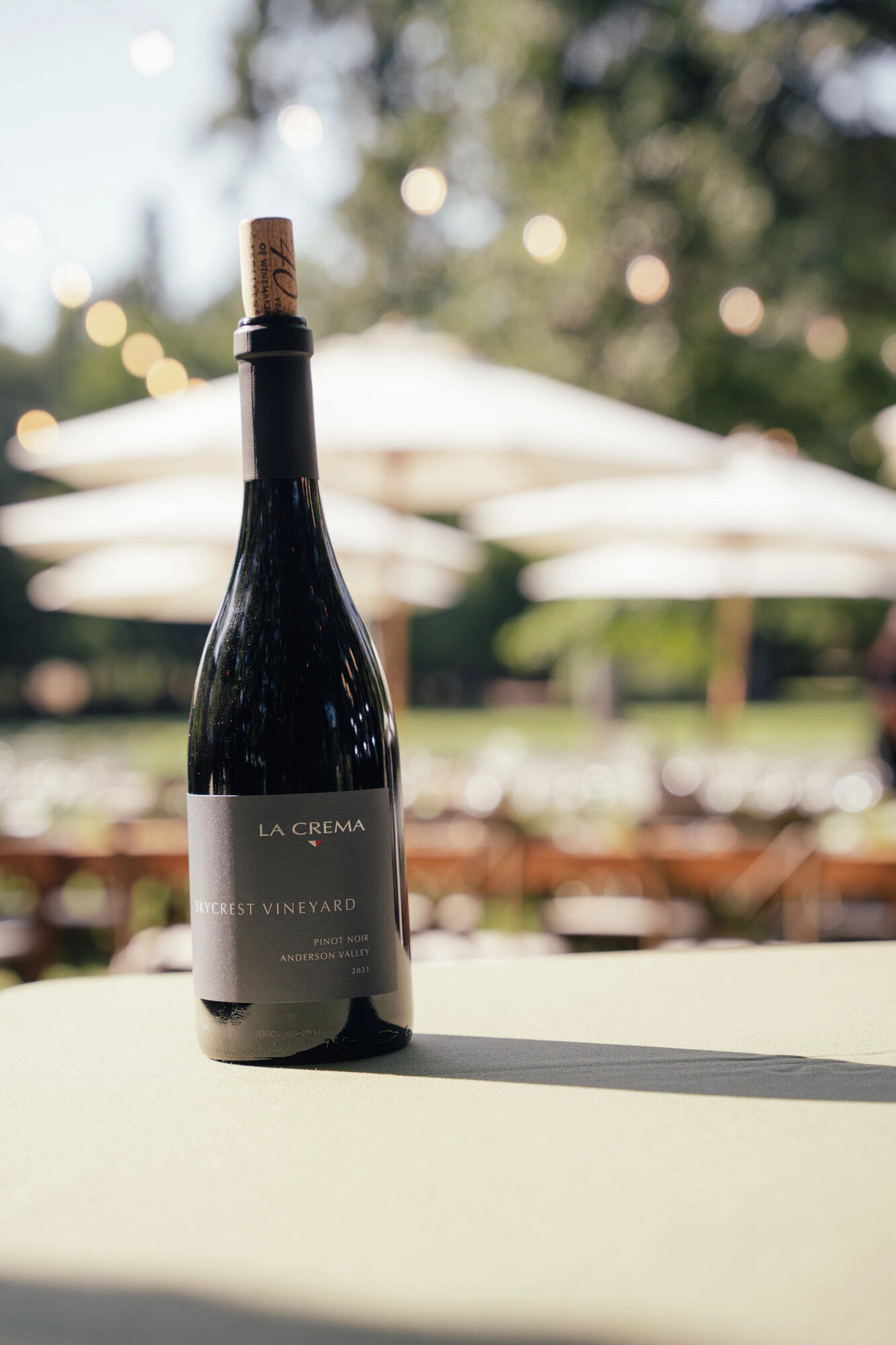 Skycrest Vineyard Pinot Noir