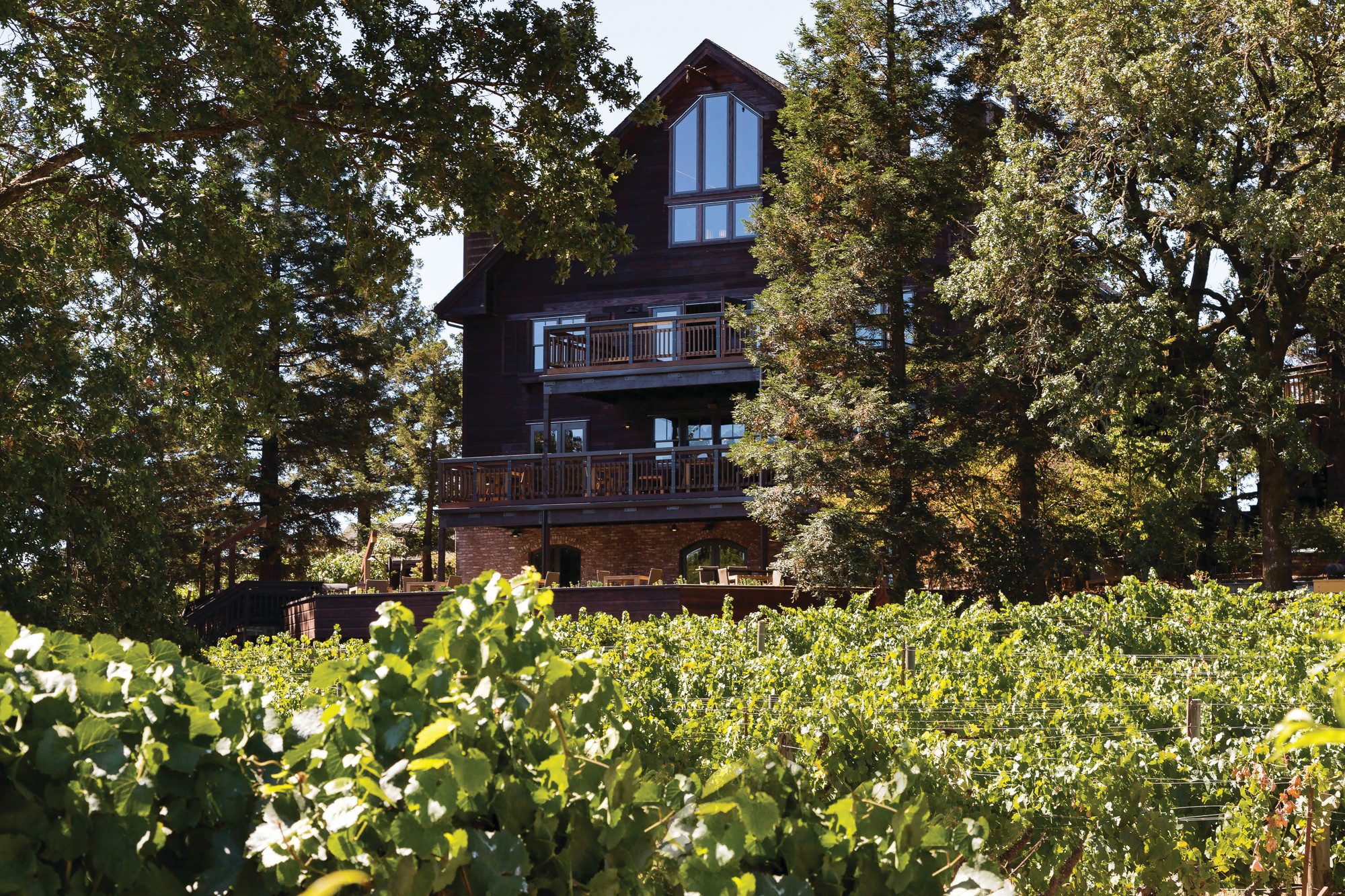Saralee's Vineyard Sparkling Blanc de Blancs