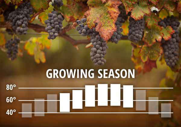 Growing Season