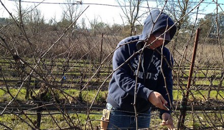 Why we prune: Balance is everything