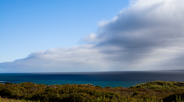 The Monterey wine growing region is heavily influenced by the cool coastal wind.