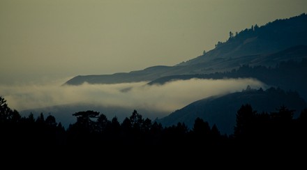 California Cool: Touring the Terroir hero image
