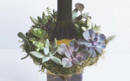 DIY: Mini Live Succulent Wreath