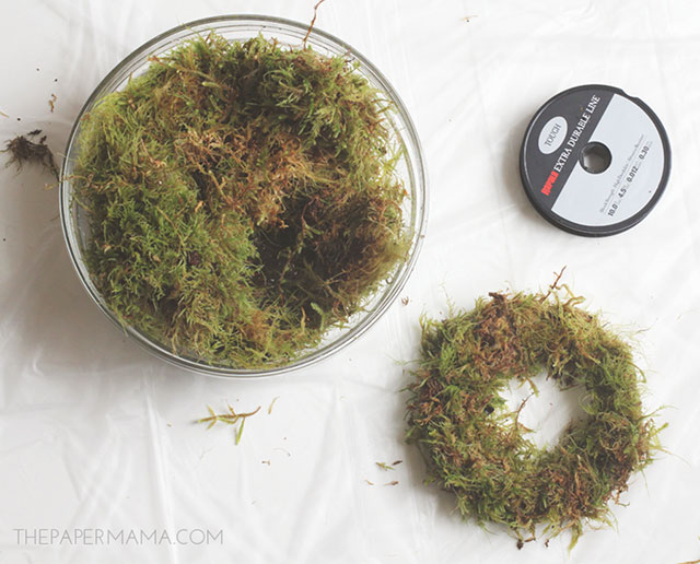 Secure the moss with fishing wire