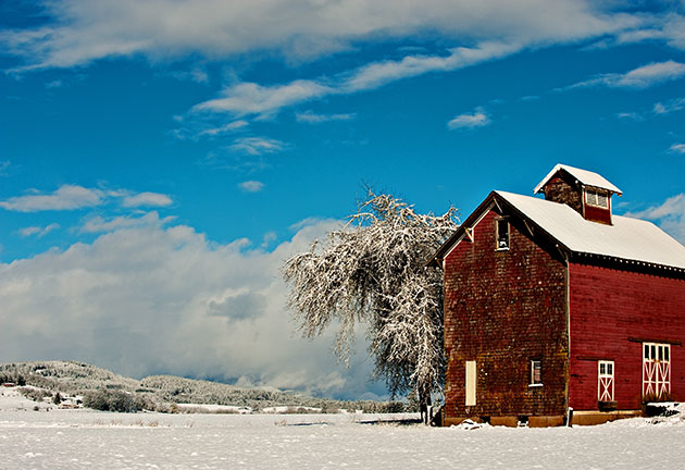 Unusual in California viticultural areas, snow falls 3-5 days per year in the Willamette Valley, transforming the vineyard landscape.