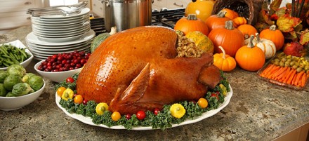 Turkey Tips: Choosing the Right Bird
