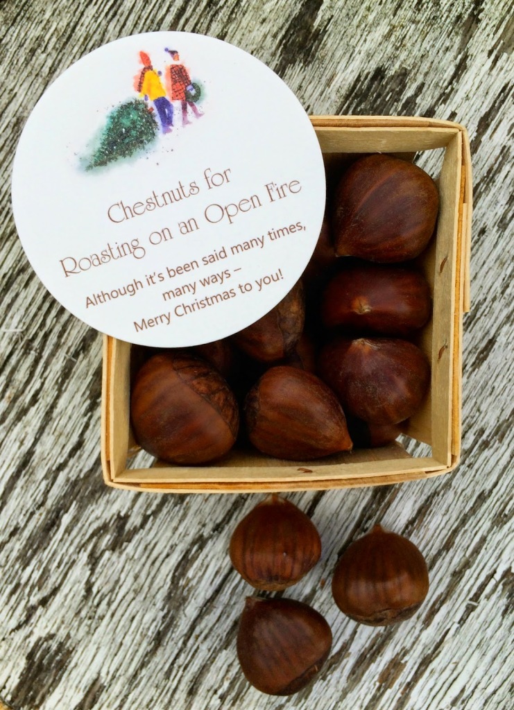 Chestnuts roasted on an open fire. A fun and festive DIY gift idea.