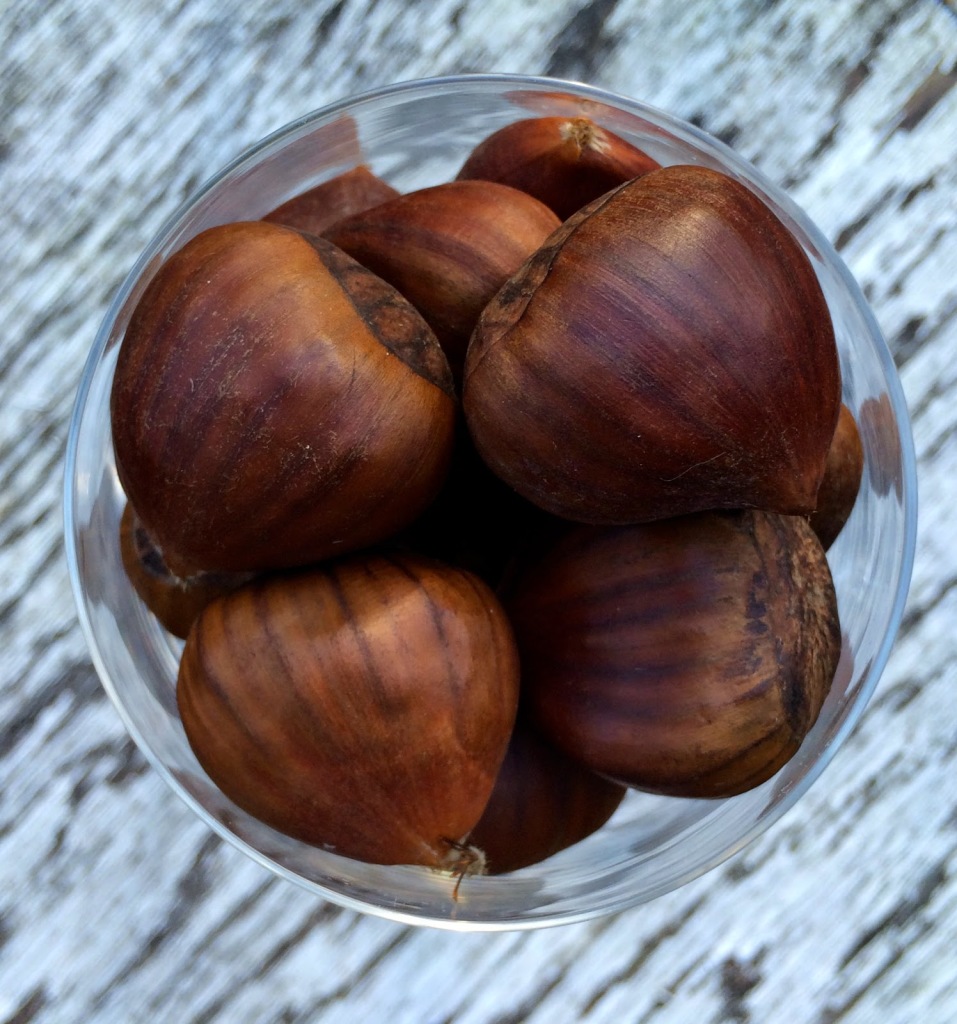 Chestnuts roasted on an open fire DIY gift idea