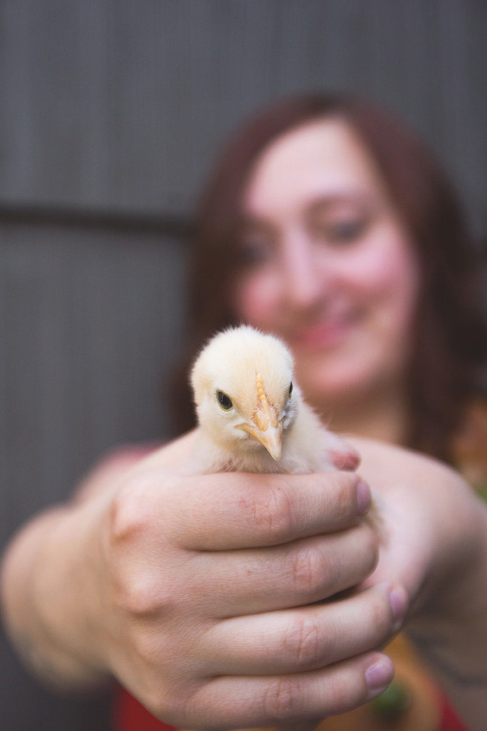 5. Take a random photo with a baby chick.