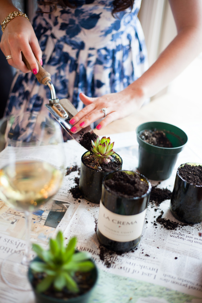 DIY Wine Bottle Succulent Planter