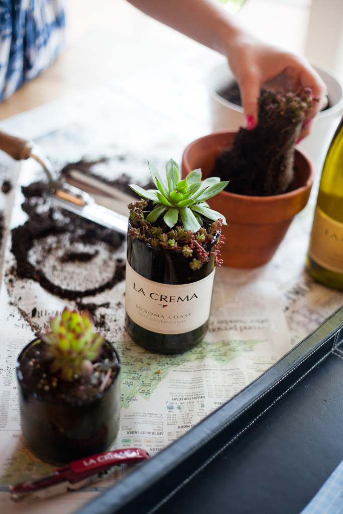 DIY Wine Bottle Succulent Planter
