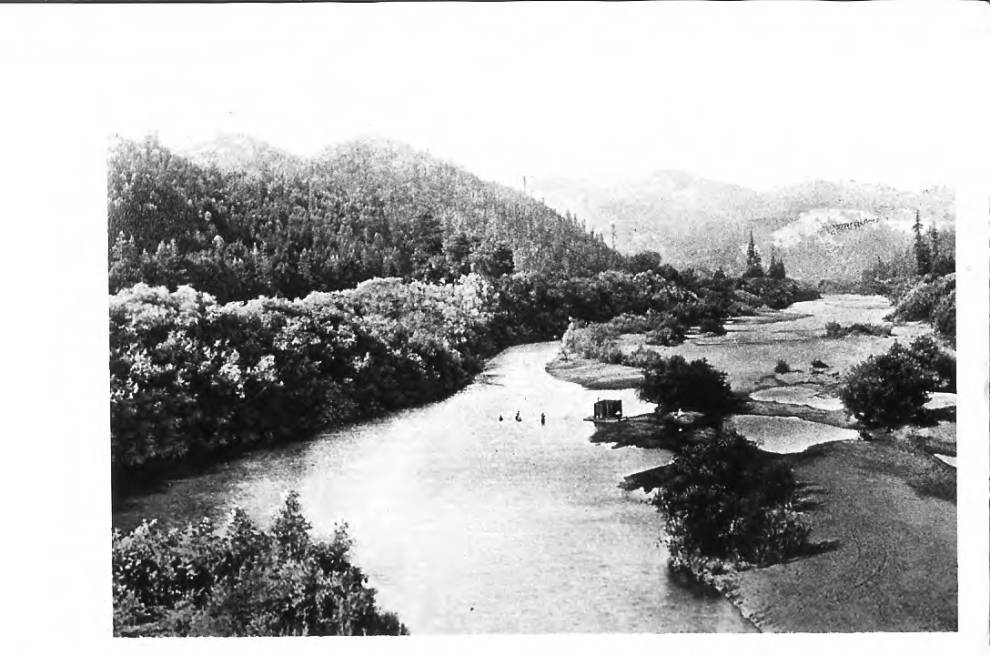 Scene of the Russian River