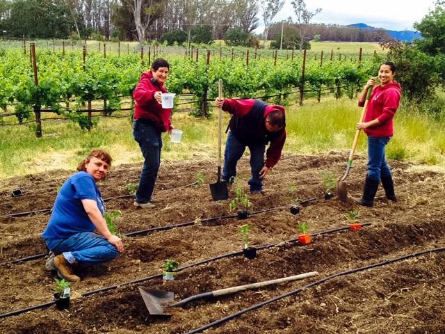 la crema employees hoeing the rows