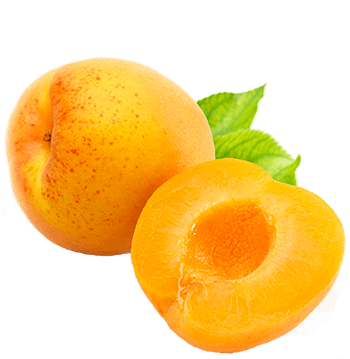 Apricot