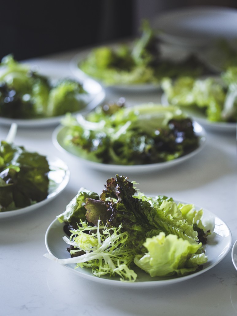 Mixed Greens Salad with Shaved Fennel and Radishes