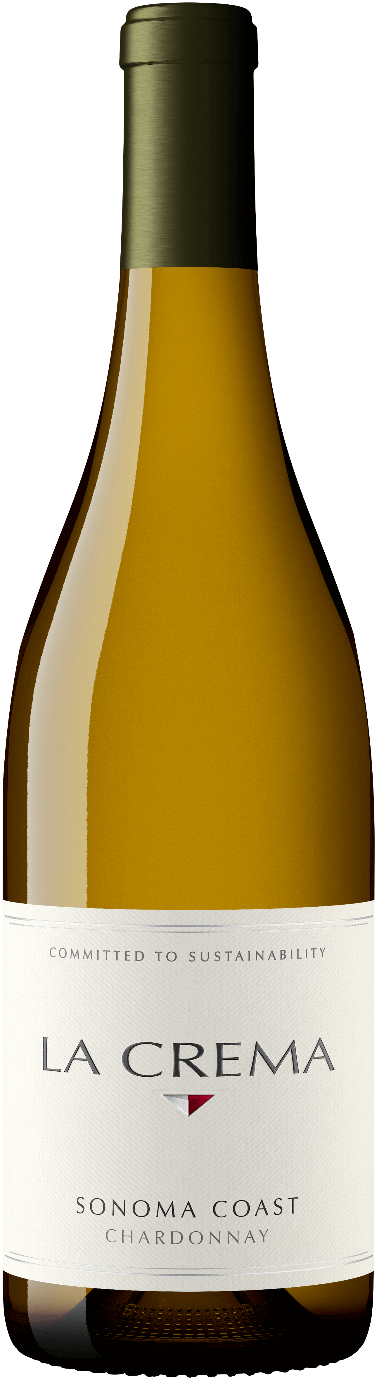 2022 Sonoma Coast Chardonnay