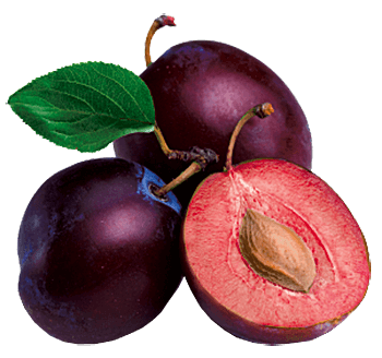 Plum