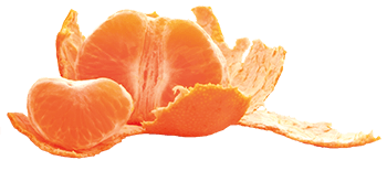 Tangerine Zest