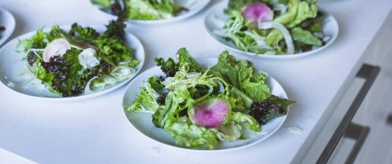 Mixed Greens Salad with Shaved Fennel and Radishes