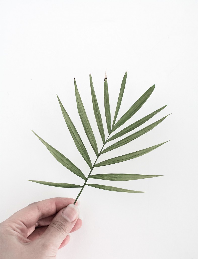 Flattened palm leaf for DIY Palm Leaf Napkins