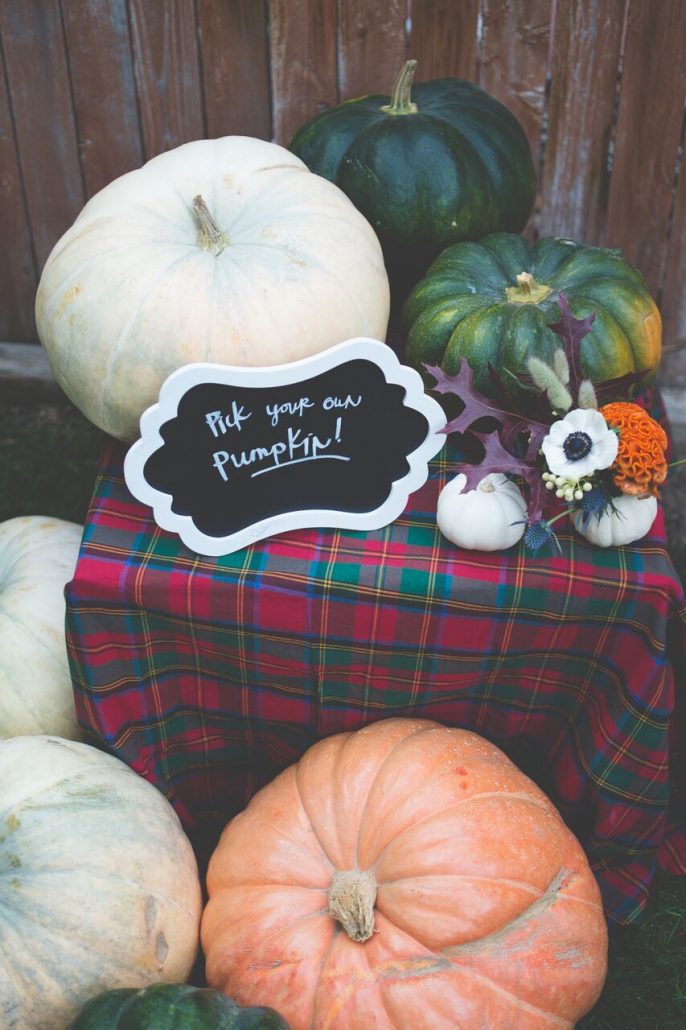 Create an area for guests to pick their own pumpkin if they aren't bringing their own | Pumpkin Carving Party