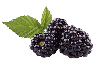 Blackberry