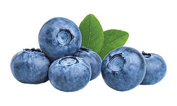 Blueberries