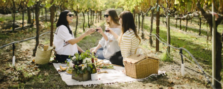 Sips & Tips: Spring Picnic