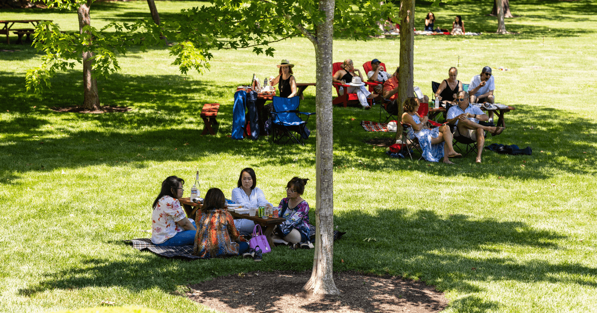 Picnic at the Grove Series